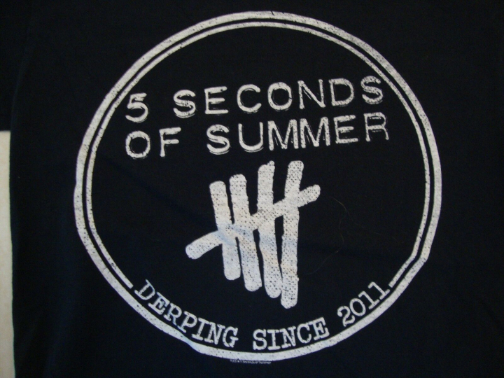 5 Seconds Of Summer Australian Rock Band Derping Since 2011 Black T Shirt Size S