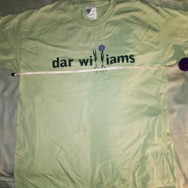 DAR WILLIAMS rare Large green shirt, tee t-shirt pop folk music L  NY