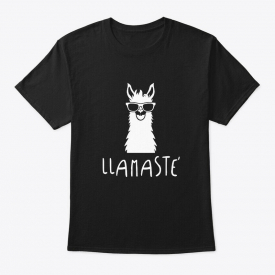 Llamaste Pun, Funny, Humor, Word Play Hanes Tagless Tee T-Shirt