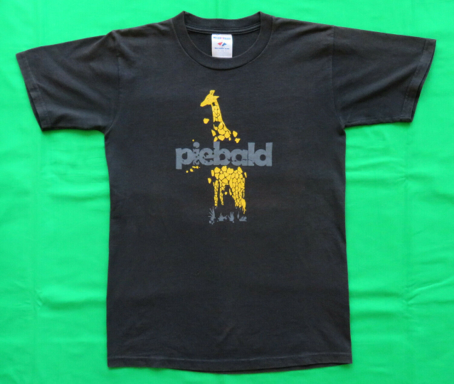 Piebald Vintage T Shirt 2000's Tour Concert Alt Indie Rock Band S