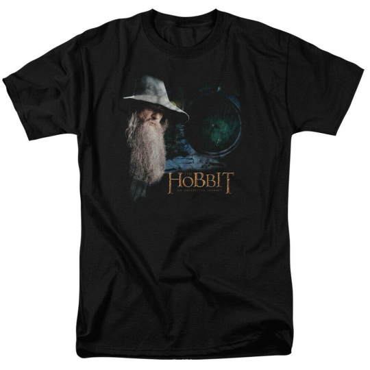 The Hobbit The Door Short Sleeve T-Shirt Licensed Graphic SM-7X